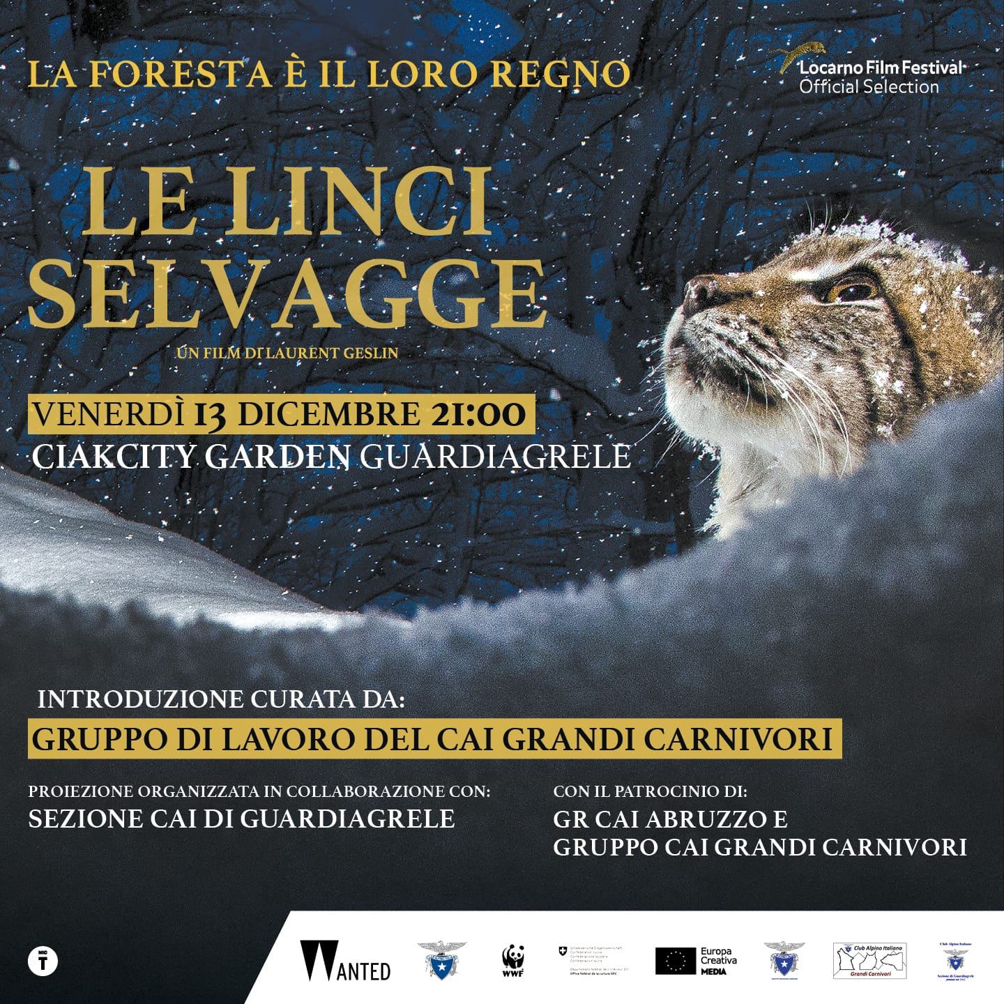 Le linci selvagge